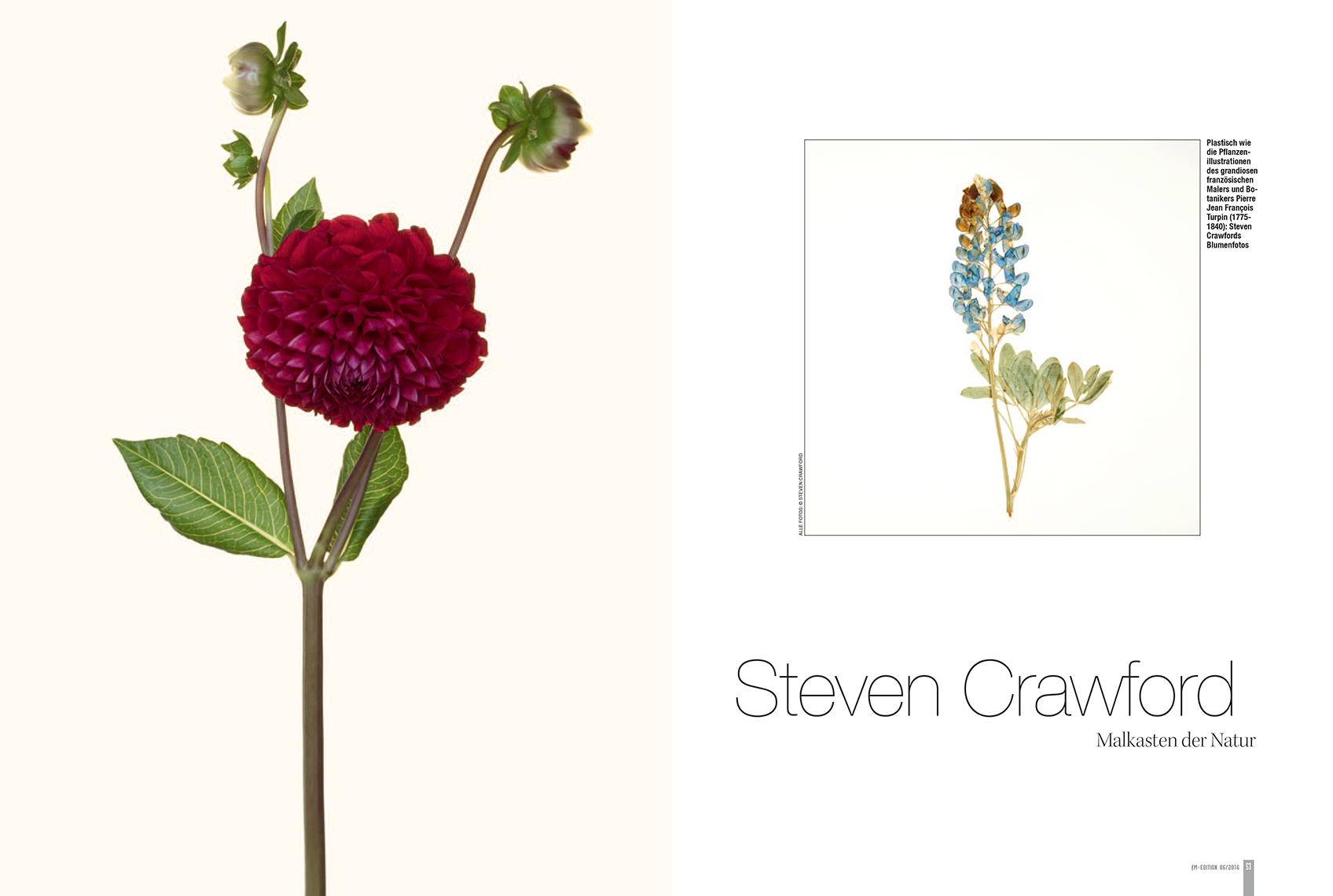 fM_EDITION_6_16_CRAWFORD-1